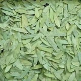 Senna Leaves