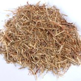 ابره الراعى