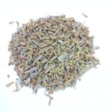 زهرة الربيع