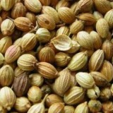 Coriander Seeds