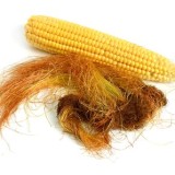 Corn Silk