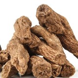 Costus Root