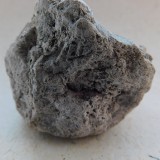 Raw Wale Amber