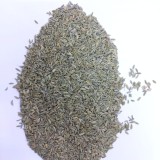 Fennel Seed